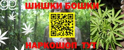 гидра Дубна