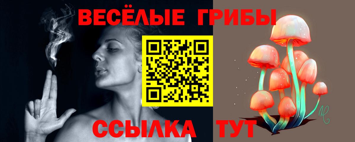Галлюциногенные грибы Psilocybe  Вход с VPN  Псилоцибиновые грибы Psilocybe  Майский 
