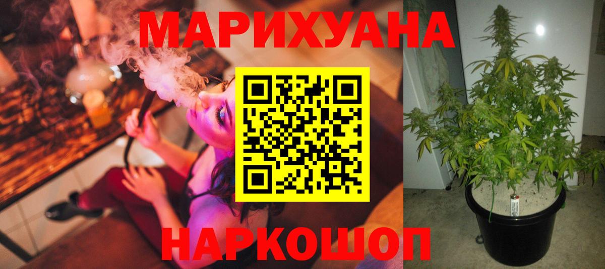 Бошки Шишки MAZAR Майский