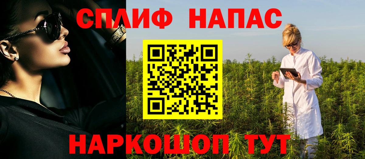 Бошки Шишки план  Шишки марихуана гибрид  Бошки Шишки Bruce Banner  Майский  Марихуана THC 21%  Вход с VPN 